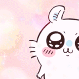 mmg11.gif