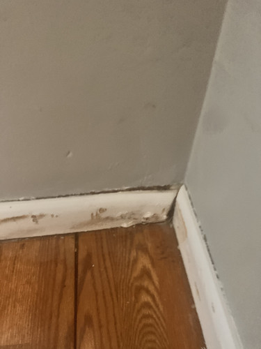 DFD6A08A ECED 4033 B442 59D64DD4C9D8.jpg