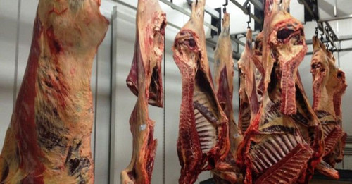 24734646314 daging sapi 680x355.jpg