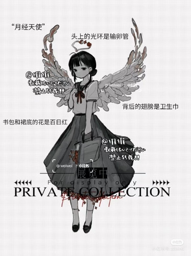 Camera XHS 17202370224471040g008314sadn250k6g5p311ffahdb6mcuc698.jpg