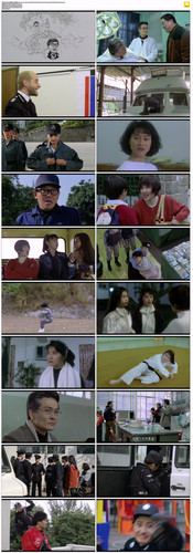 [92霸王花与霸王花]The Inspector Wears Skirts IV 1992 GBR BluRay 1080p x265 10bit AC3 2Audios.mkv.jpg