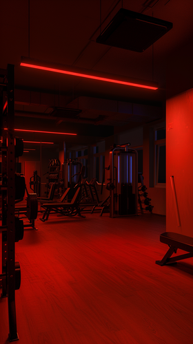 syzeers realistic photo of a gym ar 916 quality 0.5 sty de3d8806 8fe7 450f 825d 4fe39d72fe04 2 ergeb.png
