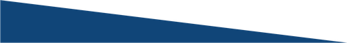 Borde Triangular (2) (2).png