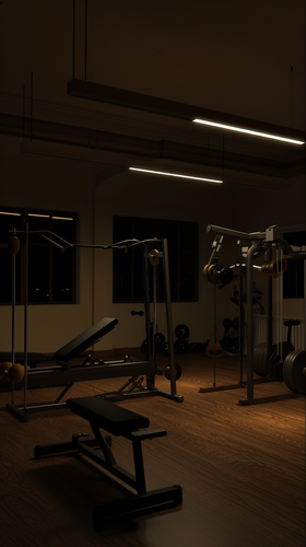 syzeers realistic photo of a gym ar 916 quality 0.5 sty d09346ca b1c3 4073 b332 1893faa9db74 2 ergeb.png
