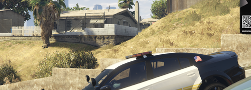 FiveM b2802 GTAProcess TLDSgAIh8x.png
