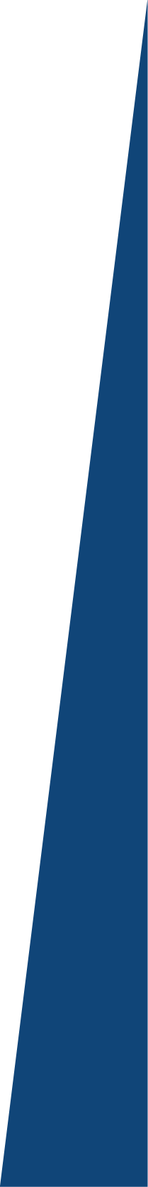 Borde Triangular (2).png