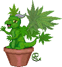 herbydragon.gif