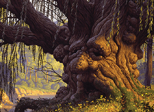 TimberProtector image.png