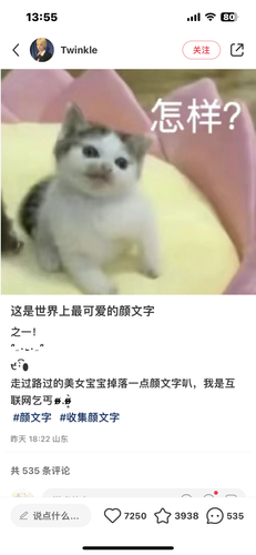 IMG 2420.png