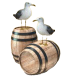 xADLgefbJxBh 2 removebg preview.png