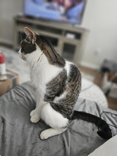 449754151 981871783440485 6482942491623206778 n.jpg