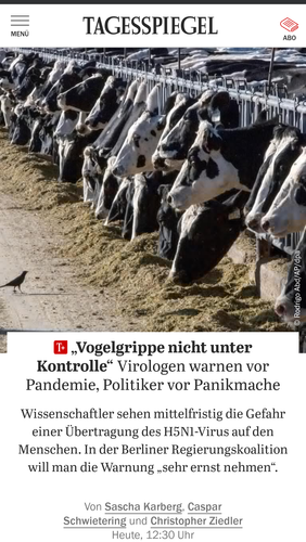 Screenshot 20240703 193713~2.png