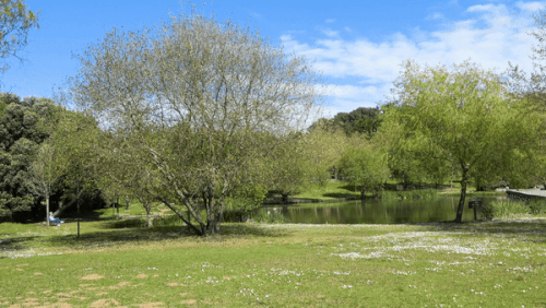ezgif 6 42aace7bdc.gif