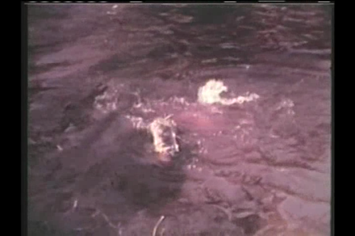 cap SwampWomen (1955) 00 34 32 03.png