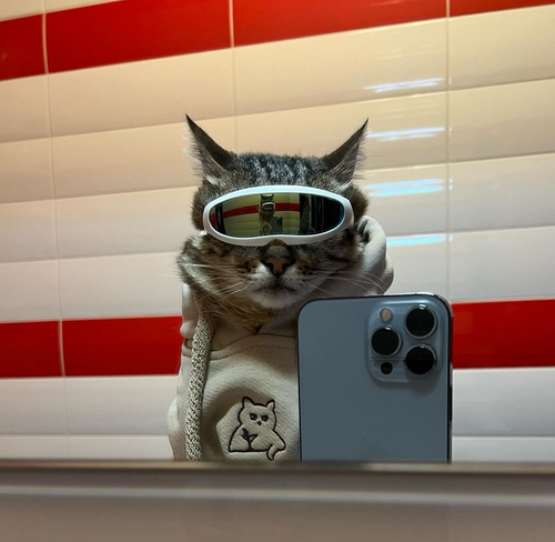 MicrosoftTeams image.png