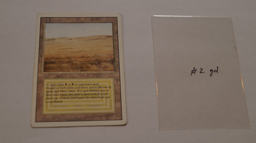 savannah 2 front.jpg