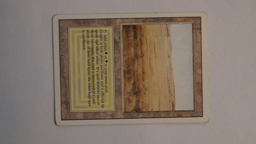 savannah 2 front2.jpg