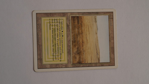 savannah 3 front 2.jpg