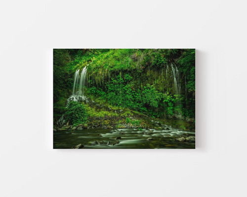 Lush Rainforest Waterfall v1.jpg