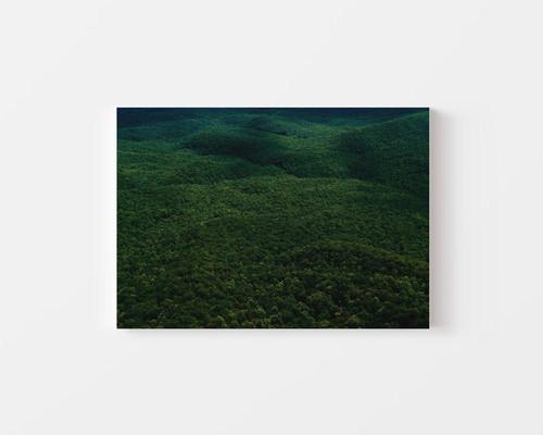 Canopy in Sloping Forest v1.jpg