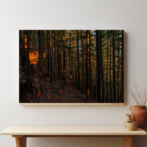 Autumn Woods Trail v3.jpg