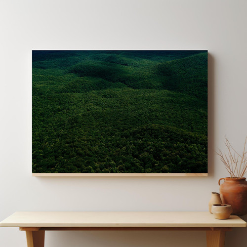 Canopy in Sloping Forest v3.jpg