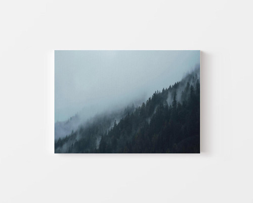 Misty Mountain Forest v1.jpg