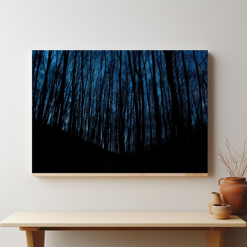 Nighttime Tree Silhouettes v3.jpg