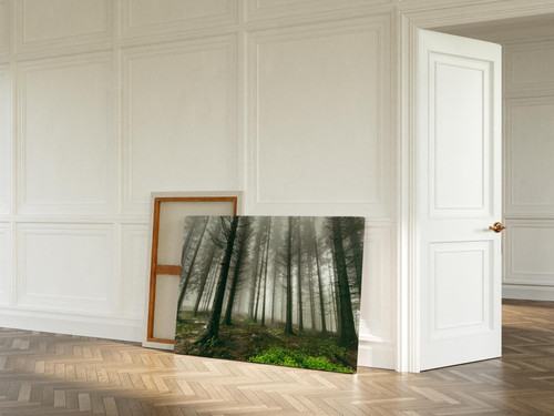 Overcast Misty Forest v2.jpg
