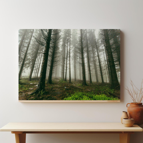Overcast Misty Forest v3.jpg