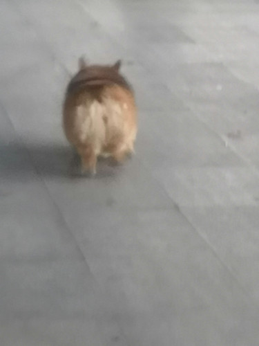 IMG 20240703 190128.jpg