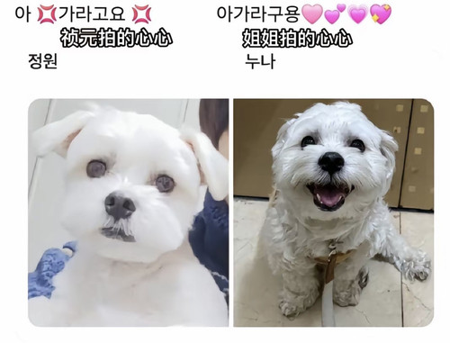 1BD25324 9AB9 4E06 8332 790F4DB5B9CA.jpg