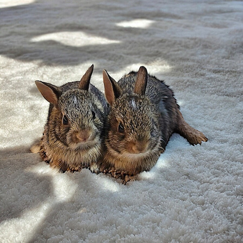 Facetune 03 07 2024 06 56 14.jpg