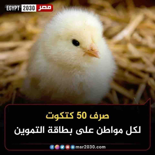 C209E981 C7E4 4D4A BF59 76646E20C08C.jpg