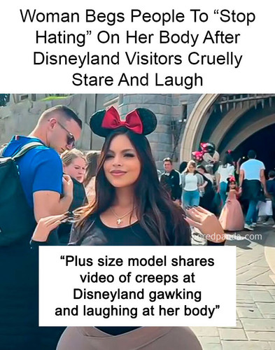 meme disneyland.jpg