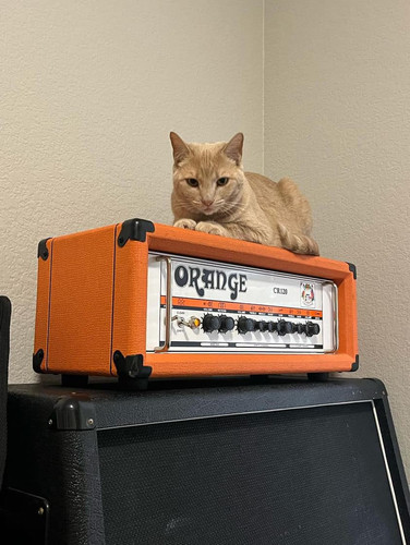 449635630 872405058261780 1555190783634751118 n.jpg