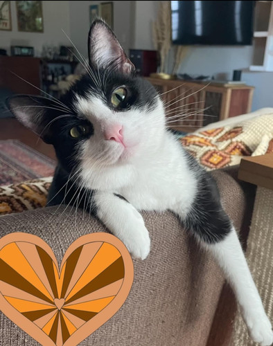 449775031 10234981464664738 6361328489814273001 n.jpg