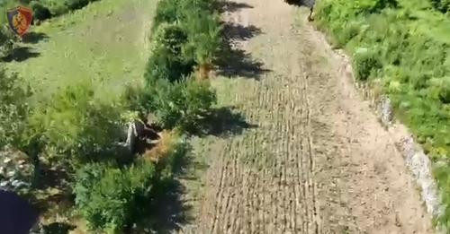 5993989548911798991?url=https%3A%2F%2Fmedia.oranews.tv%2Foranews.tv%2Fmedia3%2F 1200 630 be0673ebfa0.jpg