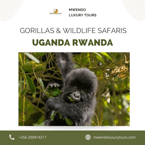 Gorillas & Wildlife Safaris Uganda Rwanda.gif
