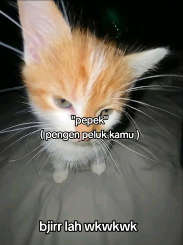 undefined.jpg