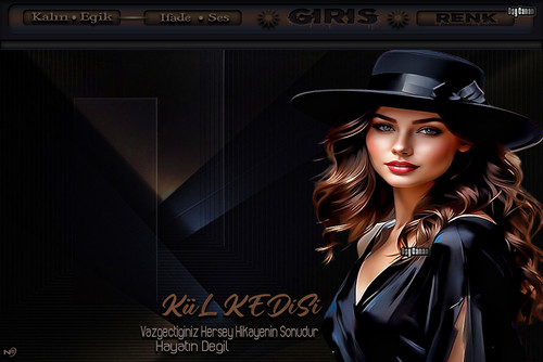 Kül Kedisi Vazgeçtigin Herşey.jpg