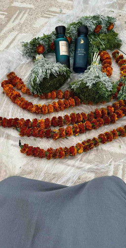 23F1B873 9612 45FA A2C0 8249E50A6029.jpg