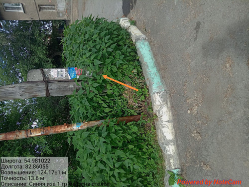 IMG 20240703 141053.jpg