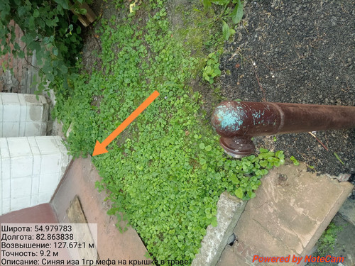 IMG 20240703 141822.jpg