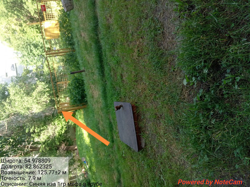 IMG 20240703 142653.jpg