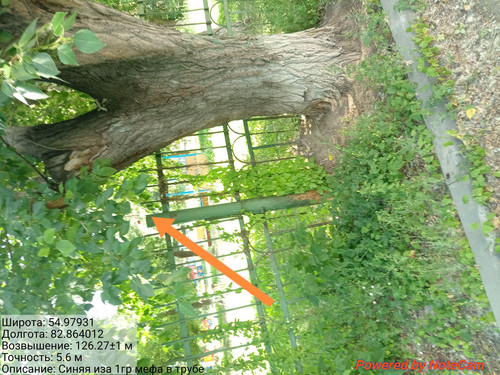 IMG 20240703 142501.jpg