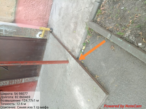 IMG 20240703 141300.jpg