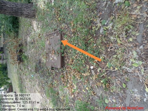 IMG 20240703 141609.jpg