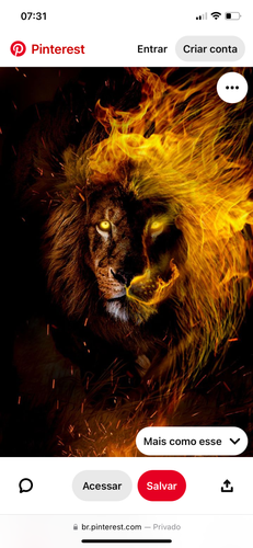 IMG 7238.png