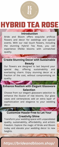 Hybrid Tea Rose.jpg